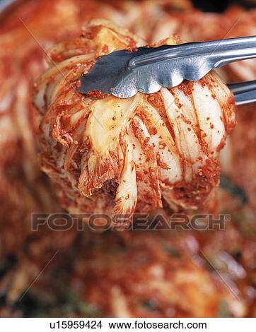White rhinoceros kimchi View Large Photo Image Picture - White rhinoceros kimchi. Fotosearch