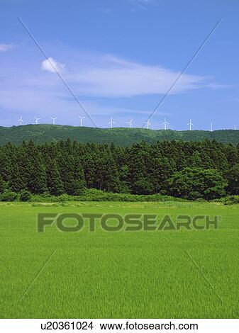 Wind farm, Nikaho City, Akita Prefecture, Honshu, Japan View Large Photo Image Picture - Wind farm, Nikaho City, Akita Prefecture, Honshu, Japan. Fotosearch