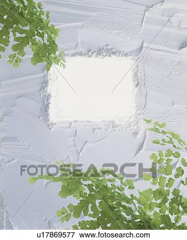 Stock Photo - Window in a wall with leafy branches. Fotosearch