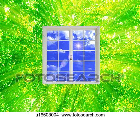 Picture - Window in forest. Fotosearch