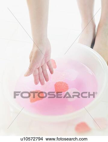 Woman touching flower petals in bowl of water View Large Photo Image Picture - Woman touching flower petals in bowl of water. Fotosearch
