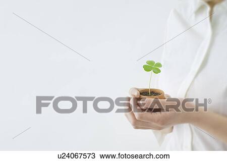 Women's hand holding a seedling View Large Photo Image Stock Image - Women's hand holding a seedling. Fotosearch