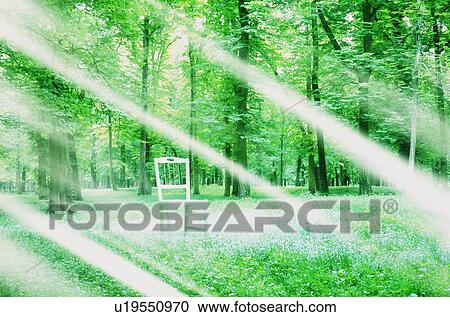 Wooden chair in a forest View Large Photo Image Stock Image - Wooden chair in a forest. Fotosearch