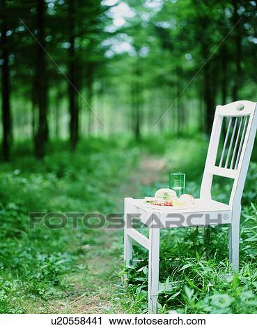 Wooden chair in a forest View Large Photo Image Stock Image - Wooden chair in a forest. Fotosearch