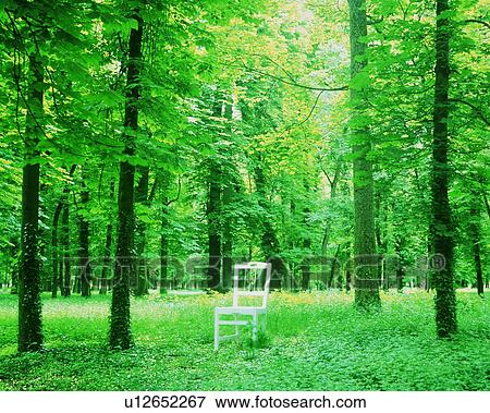 Wooden chair in a forest View Large Photo Image Stock Photo - Wooden chair in a forest. Fotosearch