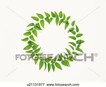 Wreath View Large Photo Image Stock Photo - Wreath. Fotosearch
