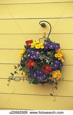 Stock Photograph - Wreath. Fotosearch
