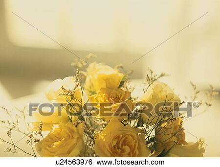 Stock Photograph - Yellow roses on a table. Fotosearch