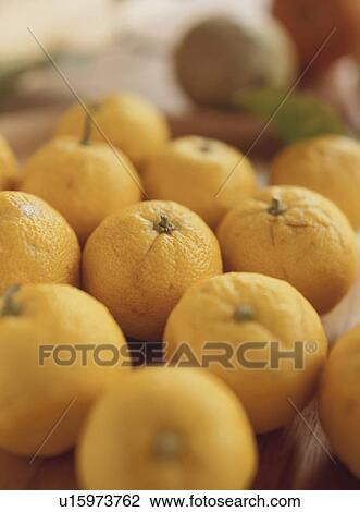 Stock Image - Yuzu. Fotosearch