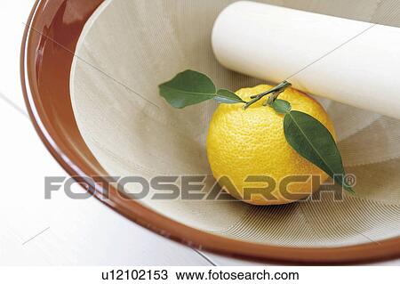 Yuzu with Mortar and Pestle View Large Photo Image Stock Image - Yuzu with Mortar and Pestle. Fotosearch