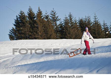 Young woman in snow pulling a sleigh View Large Photo Image Stock Image - Young woman in snow pulling a sleigh. Fotosearch