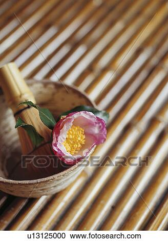 A camellia, a teacup, and a bamboo whisk View Large Photo Image Stock Image - A camellia, a teacup, and a bamboo whisk. Fotosearch