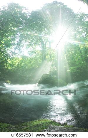 A mountain stream in forest, Gassan, Shonai-machi, Yamagata Prefecture, Japan View Large Photo Image Stock Image - A mountain stream in forest, Gassan, Shonai-machi, Yamagata Prefecture, Japan. Fotosearch