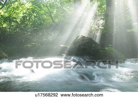 A mountain stream in forest, Gassan, Shonai-machi, Yamagata Prefecture, Japan View Large Photo Image Stock Image - A mountain stream in forest, Gassan, Shonai-machi, Yamagata Prefecture, Japan. Fotosearch
