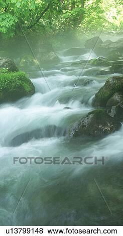 A mountain stream in forest, Gassan, Shonai-machi, Yamagata Prefecture, Japan View Large Photo Image Stock Photo - A mountain stream in forest, Gassan, Shonai-machi, Yamagata Prefecture, Japan. Fotosearch