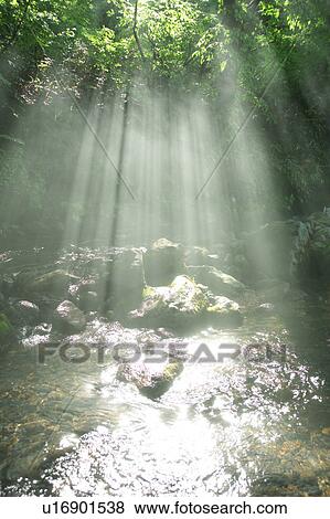 A mountain stream in forest, Gassan, Shonai-machi, Yamagata Prefecture, Japan View Large Photo Image Stock Photo - A mountain stream in forest, Gassan, Shonai-machi, Yamagata Prefecture, Japan. Fotosearch