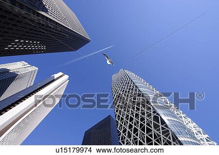 A sea gull and a jet stream over a Shinjuku high-rise complex, Shinjuku-ku, Tokyo, Japan View Large Photo Image Picture - A sea gull and a jet stream over a Shinjuku high-rise complex, Shinjuku-ku, Tokyo, Japan. Fotosearch
