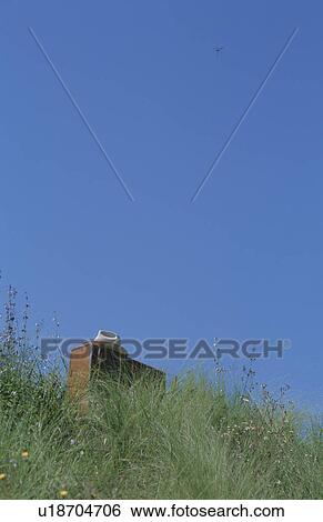 A suitcase and cowboy hat in long grass View Large Photo Image Stock Photograph - A suitcase and cowboy hat in long grass. Fotosearch