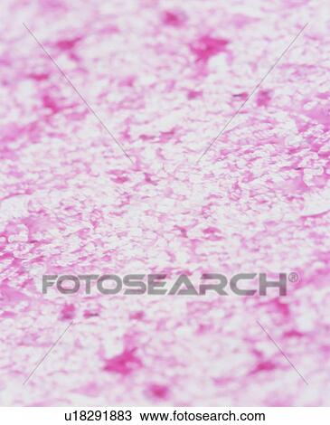 Stock Image - Abstract background. Fotosearch