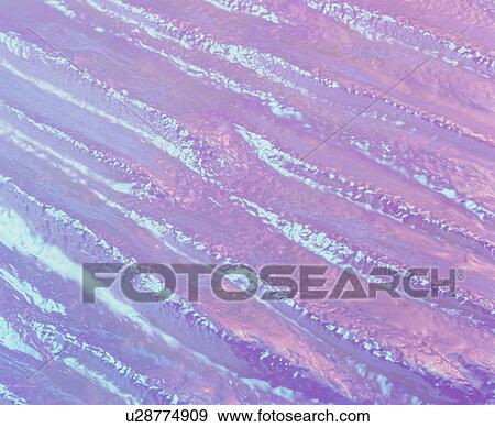 Stock Photo - Abstract background. Fotosearch