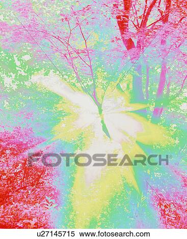 Abstract Image Forest View Large Photo Image Stock Photography - Abstract Image Forest. Fotosearch
