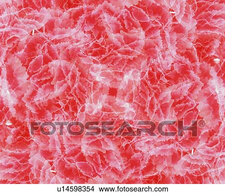 Picture - Abstract red and white pattern. Fotosearch