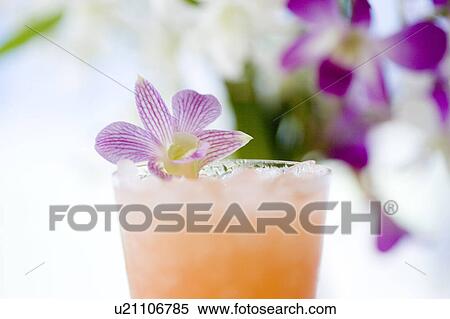 Stock Photography - Acelora juice, Okinawa Prefecture, Japan. Fotosearch