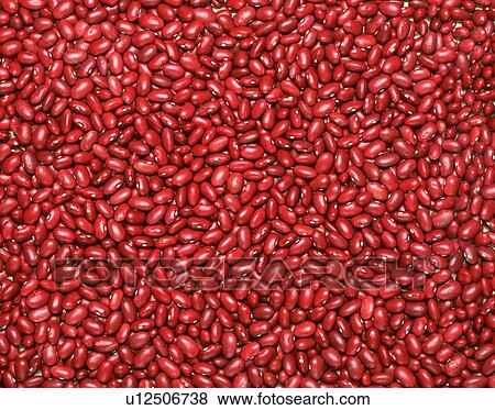 Stock Photo - Adzuki beans. Fotosearch