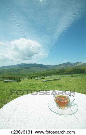 Stock Image - Afternoon tea in a farm field, Karuizawa, Nagano Prefecture, Japan. Fotosearch