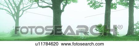 An outdoor chair and table beside trees, Aomori Prefecture, Japan View Large Photo Image Stock Image - An outdoor chair and table beside trees, Aomori Prefecture, Japan. Fotosearch