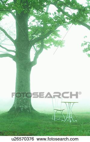 Stock Photograph - An outdoor chair and table beside tree, Aomori Prefecture, Japan. Fotosearch