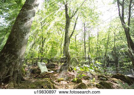 Stock Photo - An outdoor chair in forest, Towada, Aomori Prefecture, Japan. Fotosearch