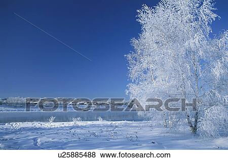 Angara river in winter, Irkutsk, Russia View Large Photo Image Stock Photo - Angara river in winter, Irkutsk, Russia. Fotosearch