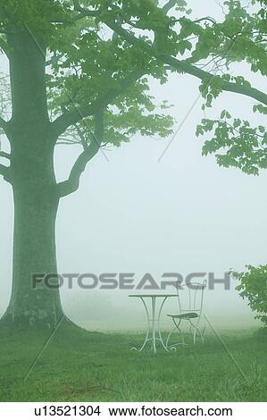 Picture - Antique chair and table in a misty field, Aomori Prefecture, Japan. Fotosearch