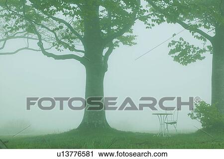 Stock Image - Antique chair and table in a misty field, Aomori Prefecture, Japan. Fotosearch