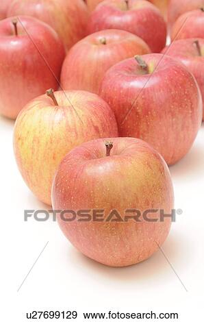 Stock Photo - Apples. Fotosearch