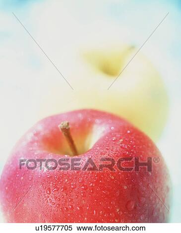 Stock Photography - Apples. Fotosearch