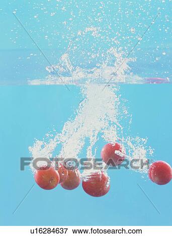 Apricots falling into water View Large Photo Image Stock Photo - Apricots falling into water. Fotosearch