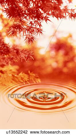 Autumn colors View Large Photo Image Stock Image - Autumn colors. Fotosearch