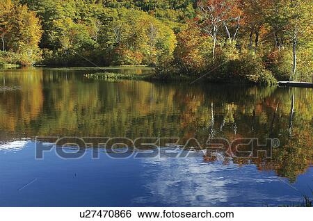 Stock Photograph - Autumn foliage reflected in lake, Nishikawa-machi, Yamagata Prefecture, Japan. Fotosearch