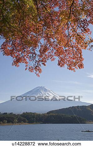 Autumnal leaves and Mt. Fuji View Large Photo Image Stock Image - Autumnal leaves and Mt. Fuji. Fotosearch