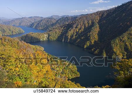 Picture - Autumnal leaves around Tagokura Lake. Fukushima Prefecture, Japan. Fotosearch