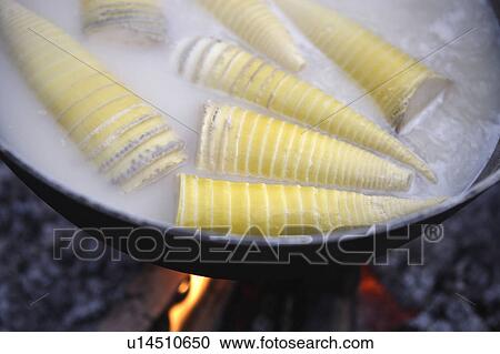 Stock Image - Bamboo shoots boiling in a pot of water. Fotosearch
