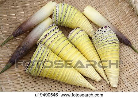 Stock Photograph - Bamboo shoots in a bamboo basket. Fotosearch