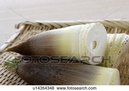 Bamboo shoots View Large Photo Image Stock Photo - Bamboo shoots. Fotosearch