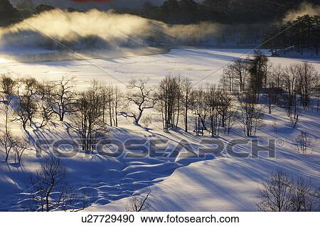 Stock Image - Bare trees and a snow covered field, Kitashiobara, Fukushima Prefecture, Japan. Fotosearch