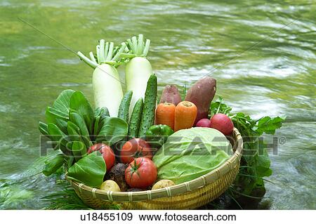 Stock Photo - Basket full of vegetables in a stream. Fotosearch