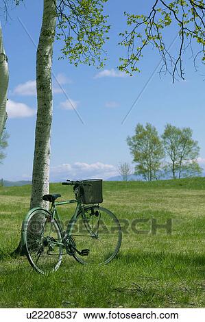Bicycle in a park, Sugadaira Plateau, Nagano Prefecture, Japan View Large Photo Image Stock Photo - Bicycle in a park, Sugadaira Plateau, Nagano Prefecture, Japan. Fotosearch