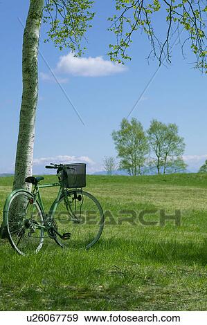 Stock Photo - Bicycle in a park, Sugadaira Plateau, Nagano Prefecture, Japan. Fotosearch