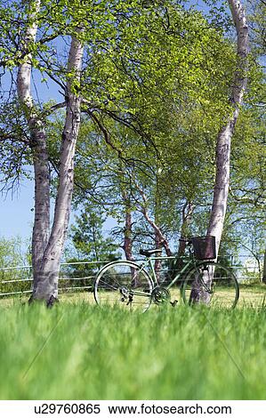 Stock Photography - Bicycle in a park, Sugadaira Plateau, Nagano Prefecture, Japan. Fotosearch